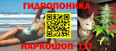 прущие крисы Котовск