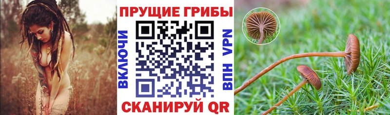 Галлюциногенные грибы MAGIC MUSHROOMS Саяногорск